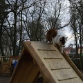 IMG 6048